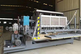 apple tray making machine for sale