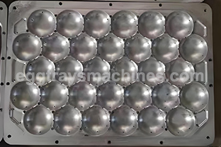 apple tray mold for sale