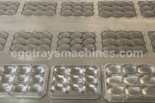 apple tray molds agico