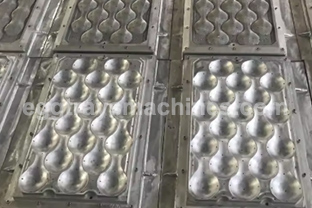 apple tray molds