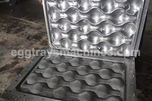 upper and lower apple tray molds