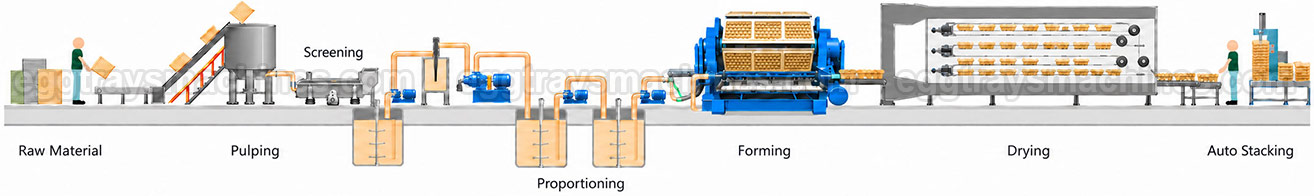 fruit tray production process