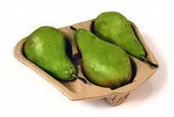 pear paper tray