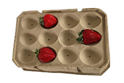 strawberry paper tray