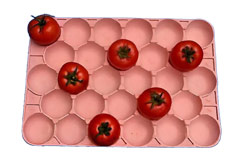 tomato paper tray